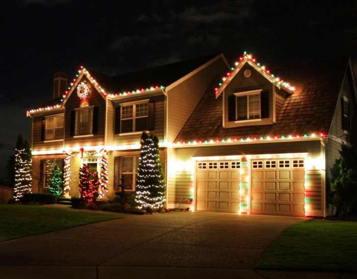 Led outdoor christmas decor