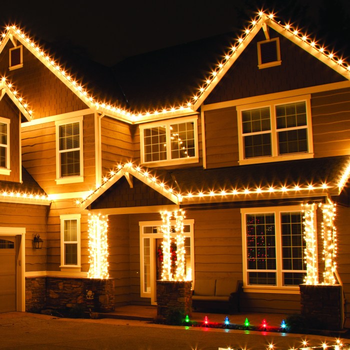 Led outdoor christmas decor