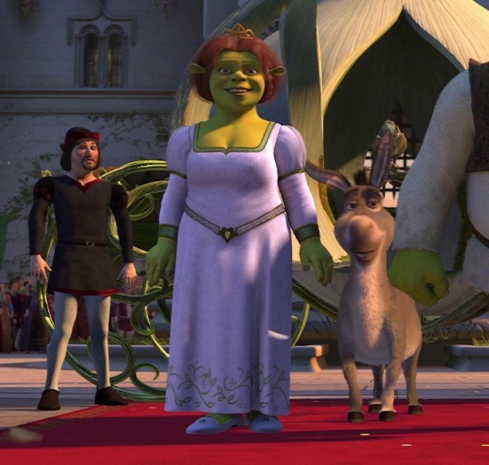 Shrek 2 princess fiona wedding dress