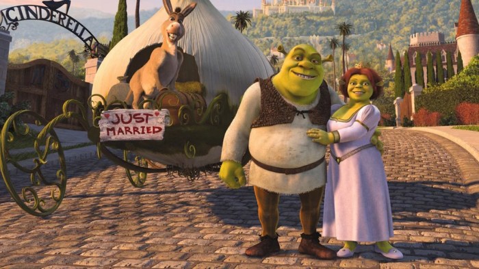 Shrek 2 princess fiona wedding dress