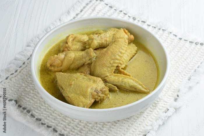 Resep opor ayam spesial