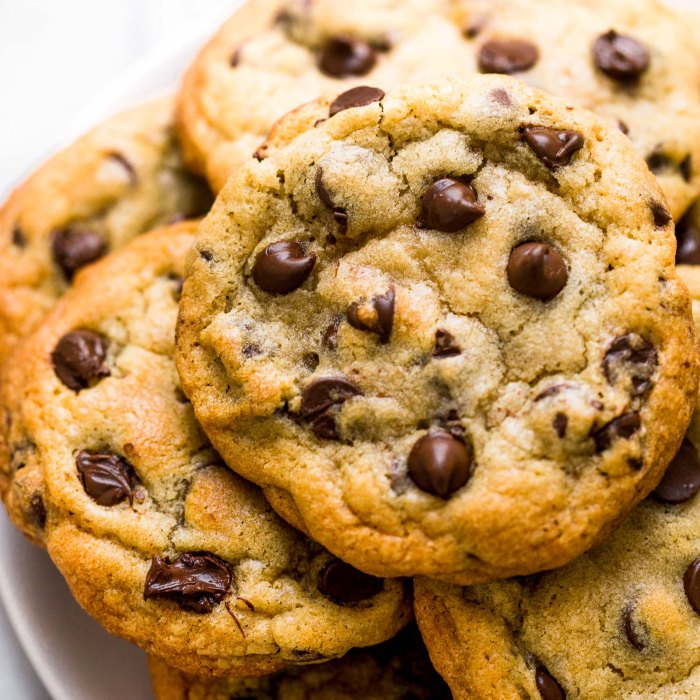 Resep kue choco chip 1kg