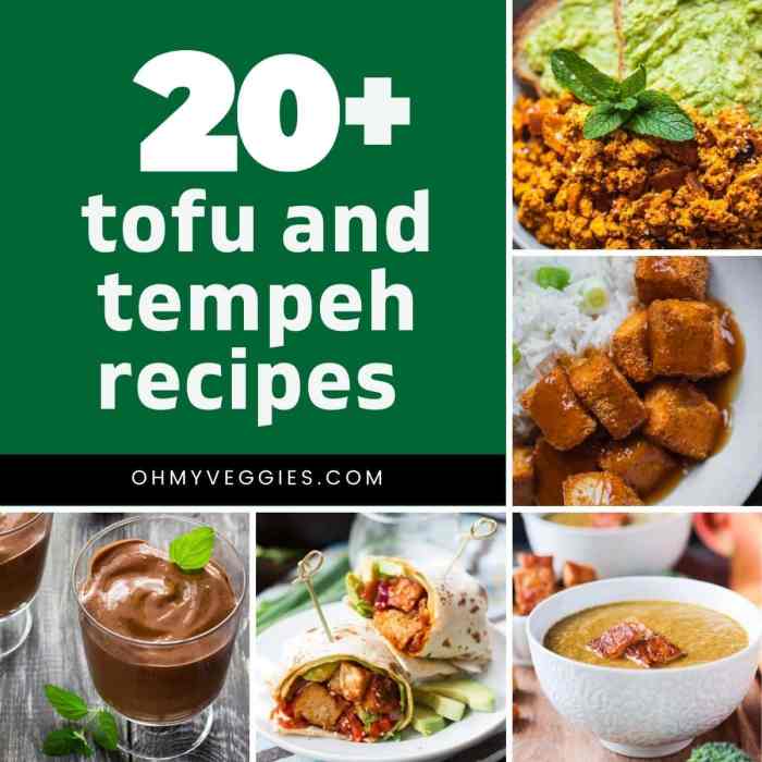 Resep bacem ayam tahu tempe