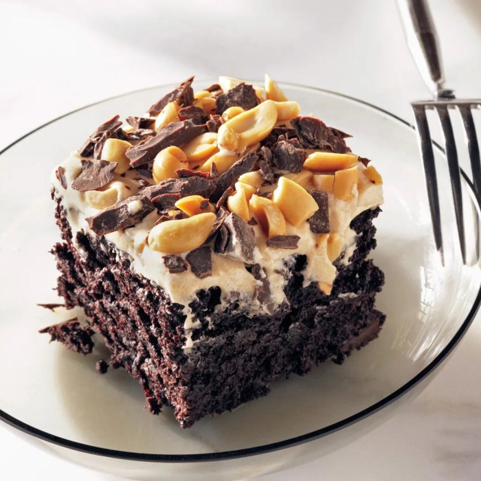 Cake chocolate peanut butter recipe mix using cakes epicurious fun frosting