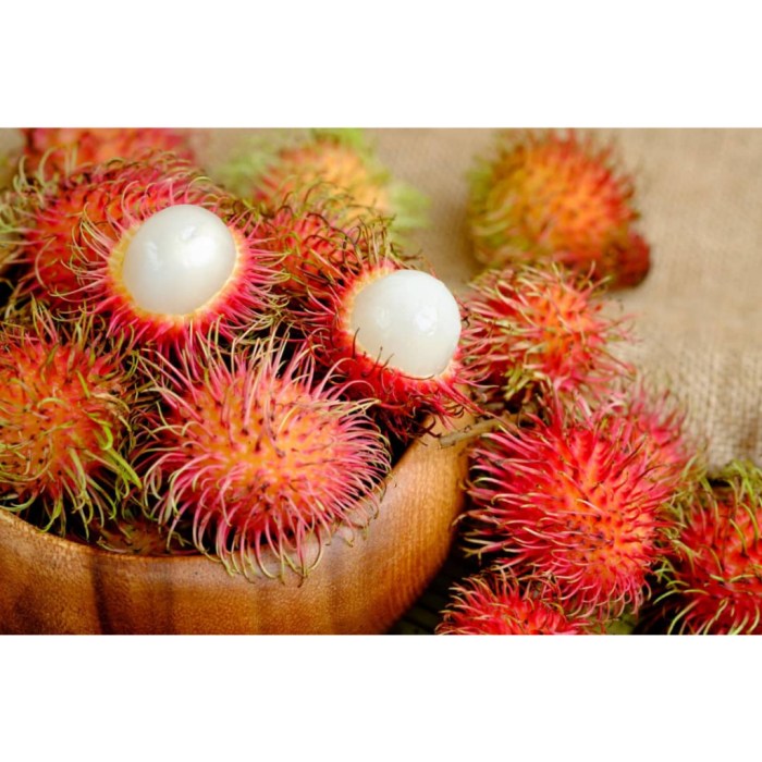 Resep kue kering rambutan 1 kg