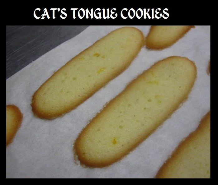 Tongue cat cookies cats french