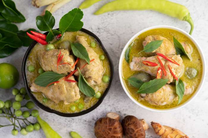 Ayam opor resep thegorbalsla enak gurih