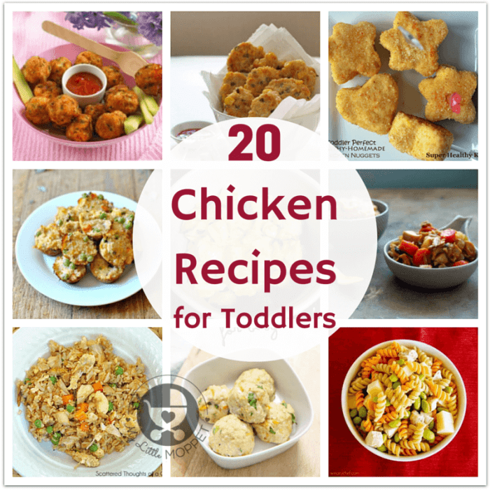 Chicken recipes toddlers meatballs carrot mini little