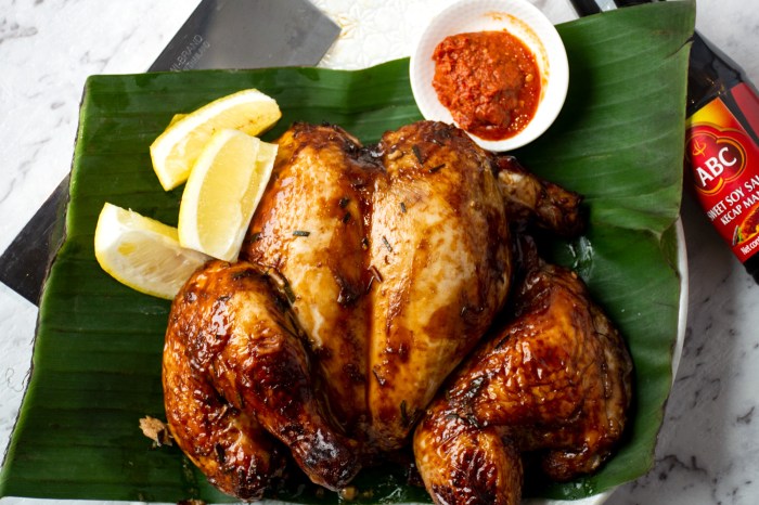 Resep aneka masakan ayam nusantara