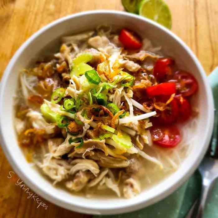 Resep soto ayam santan