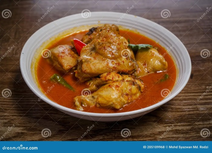 Resep ayam kalio padang