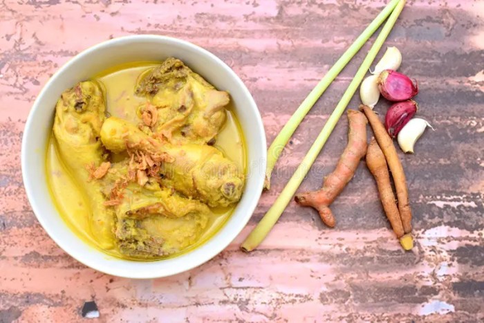 Resep opor ayam kampung