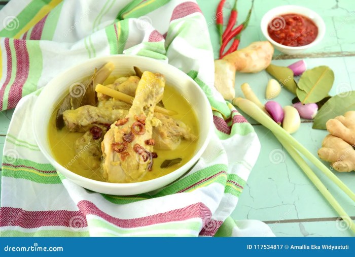 Resep opor ayam sederhana santan kara