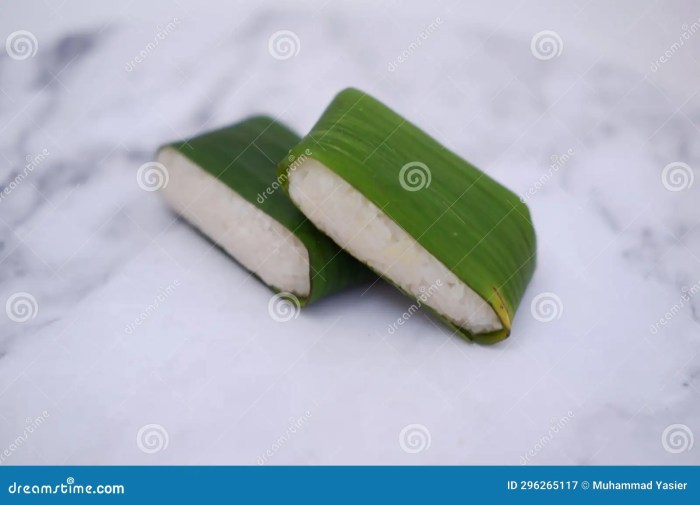 Resep lemper ayam 1 kg ketan