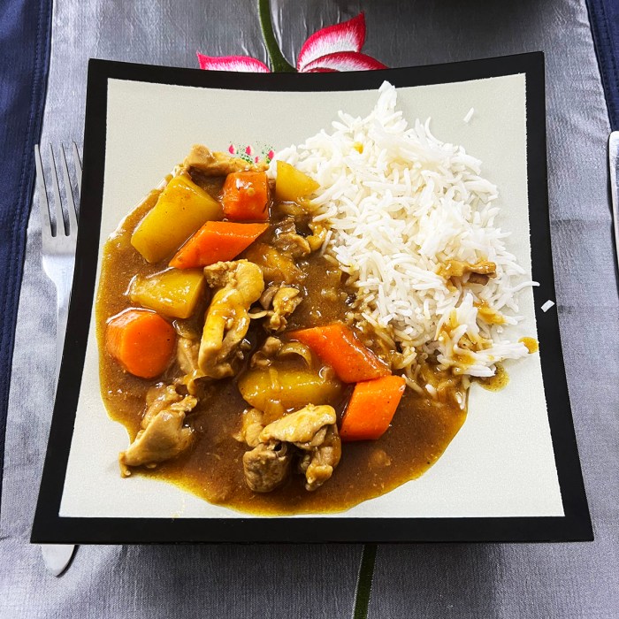 Indaily javanese curry chicken