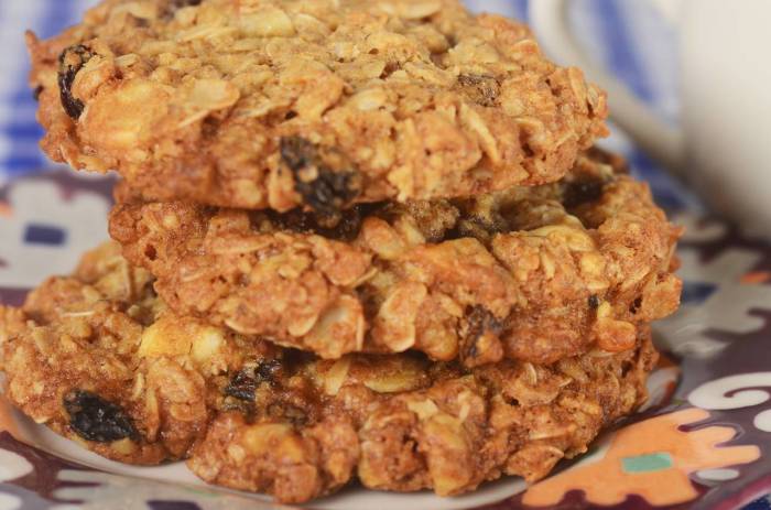 Resep kue kering oatmeal renyah