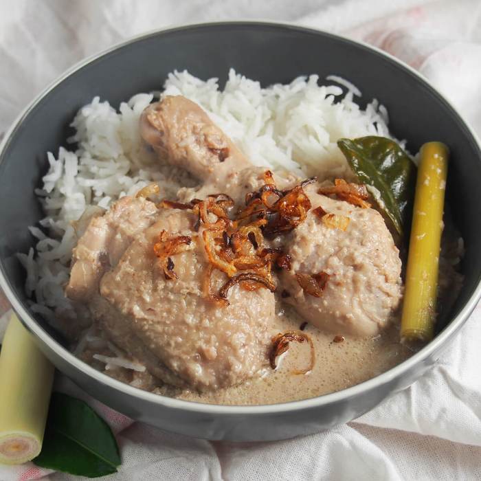 Resep opor ayam sederhana rumahan