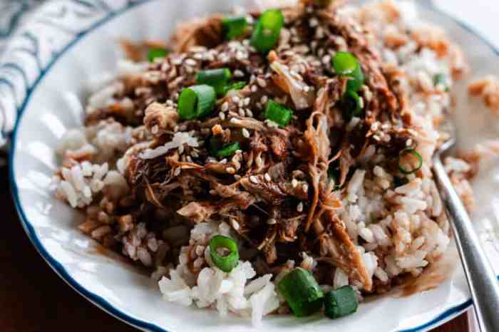 Shredded shred bowl fed prepare easiest pioneer