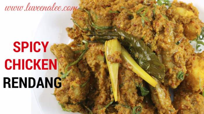 Resep rendang ayam bumbu instan