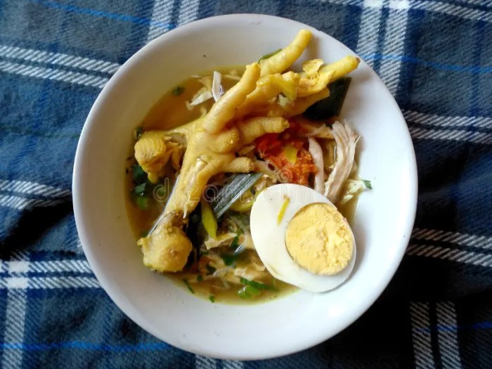 Resep soto ayam tauco pekalongan